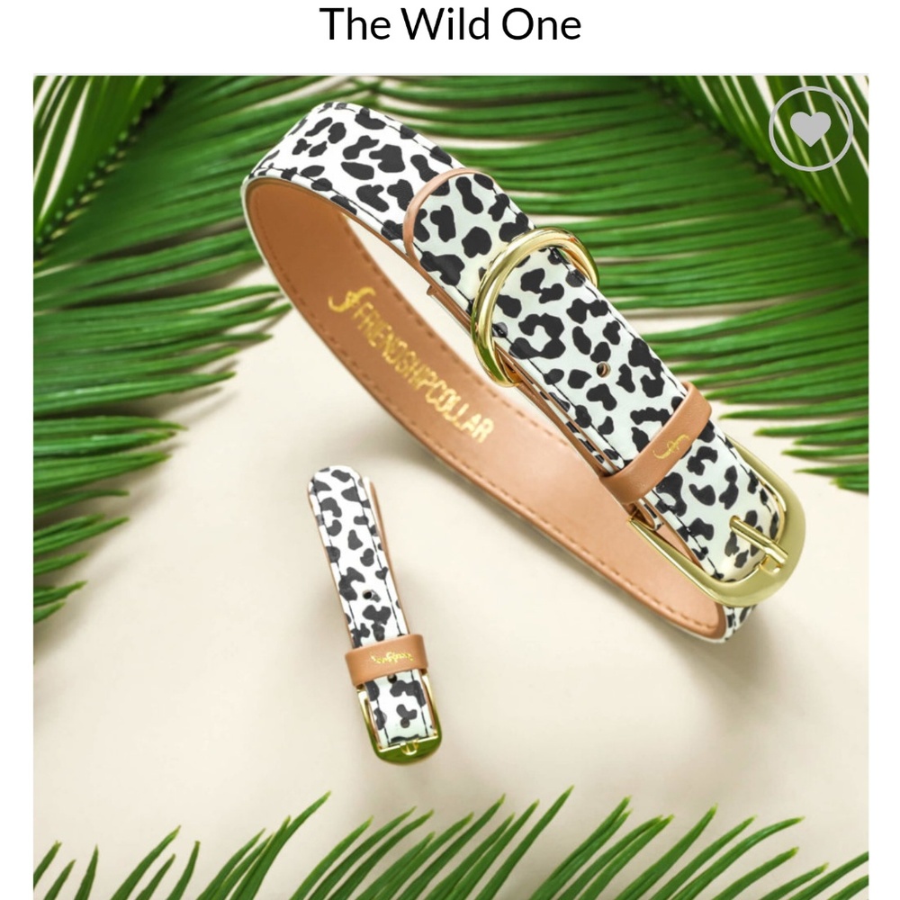 Matching dog collar/human bracelet (new)